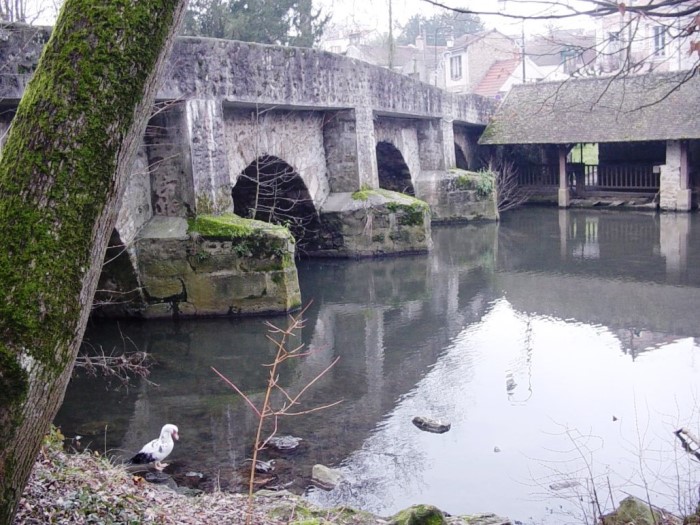Pont de la reine Blanche 2005