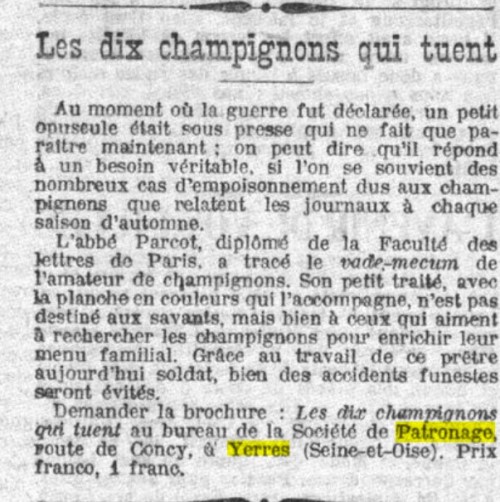 Patronage Champignons