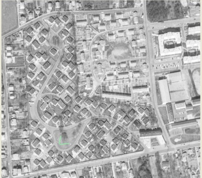 Bois des Godeaux 1968